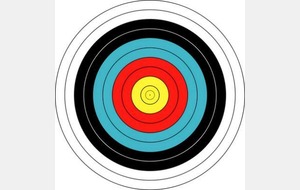 CHAMPIONNATS DEPARTEMENTAL ET REGIONAL DE TIR EN SALLE