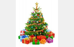 ENTRAÎNEMENT VACANCES DE NOËL