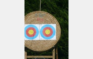 Ca semble proche un blason de 80cm réduit à 50m...