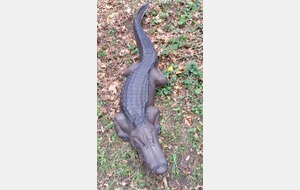 ENTRAÎNEMENT TIR 3D