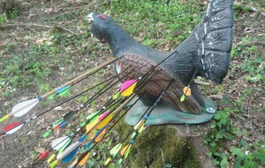 SEANCE TIR 3D AU JARDIN D'ARC