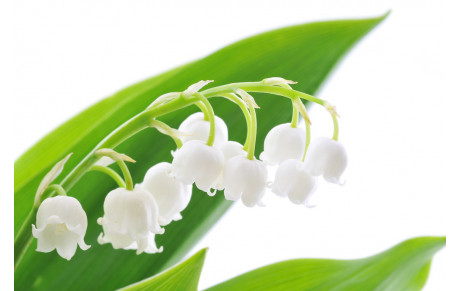 TIR DU MUGUET - MARDI 1er MAI