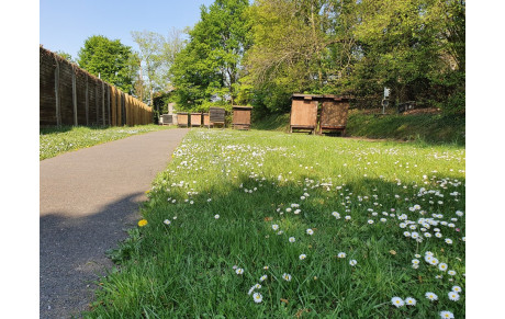 CHAVILLE TIR A L'ARC - Infos &quot;confinement&quot; 2